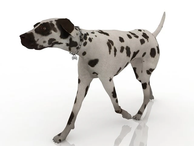 cachorro Modelo 3D .c4d .max .obj .3ds .fbx .stl .blend 