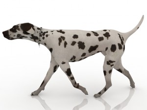 dog 3Dモデル