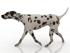 cachorro Modelo 3D