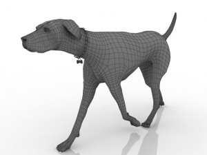 dog 3Dモデル
