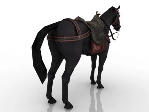 cavallo Modello 3D