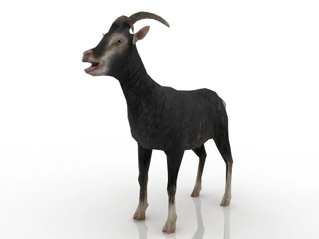 goat 3D Model .c4d .max .obj .3ds .fbx .stl .blend 