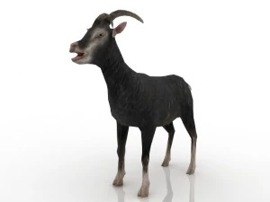 ヤギ 3Dモデル