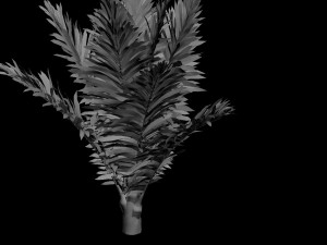 palm 3D Модель