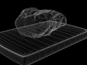 baked pork 3D मॉडल