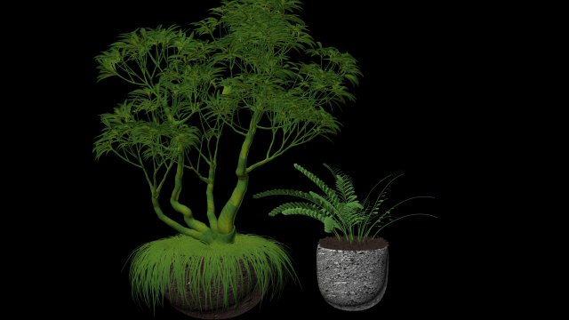 plumeria and fern Modelo 3D .c4d .max .obj .3ds .fbx .stl .blend 