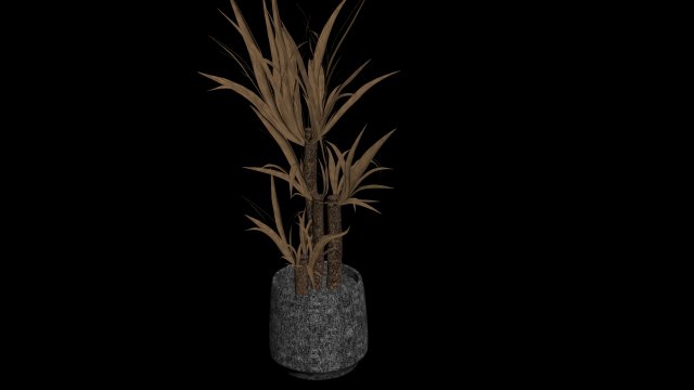 yucca in the pot 3D Модель .c4d .max .obj .3ds .fbx .stl .blend 