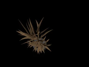 yucca in the pot 3D Model