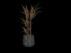 yucca in the pot 3D Model