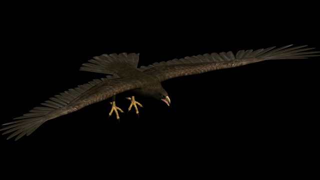 eagle Modello 3D .c4d .max .obj .3ds .fbx .stl .blend 