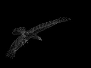 eagle Modello 3D