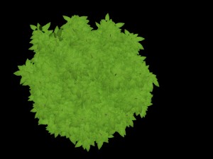 tree of a catalpa Model 3D