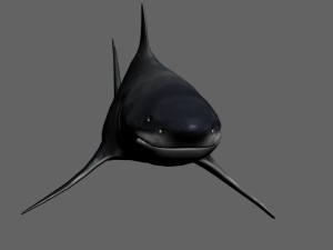 shark Modello 3D
