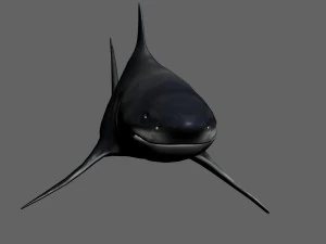 shark 3D Model