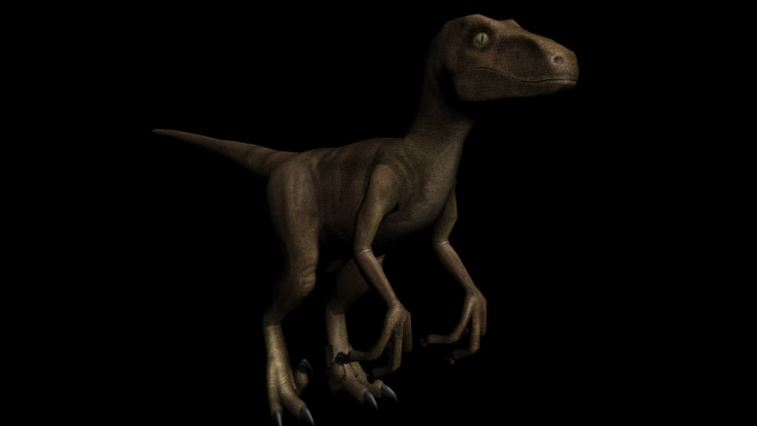 raptor 3D Model .c4d .max .obj .3ds .fbx .stl .blend 