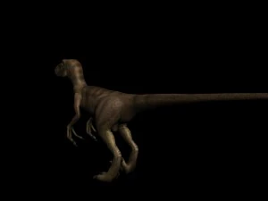 raptor 3D Model