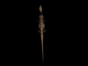 raptor 3D Model