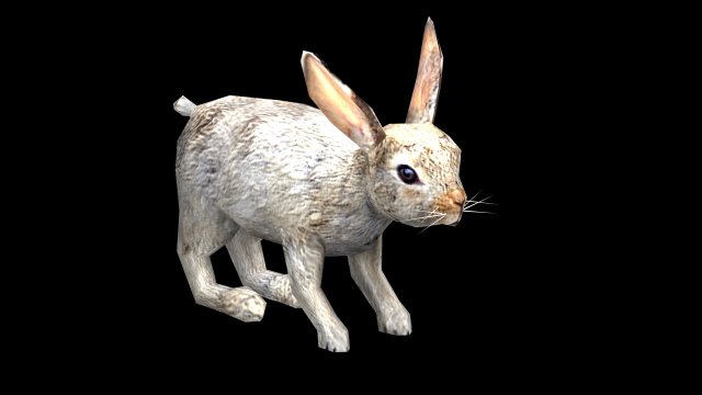 rabbit 3D Model .c4d .max .obj .3ds .fbx .stl .blend 