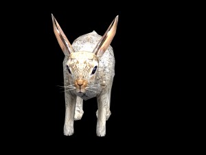 rabbit 3D Model