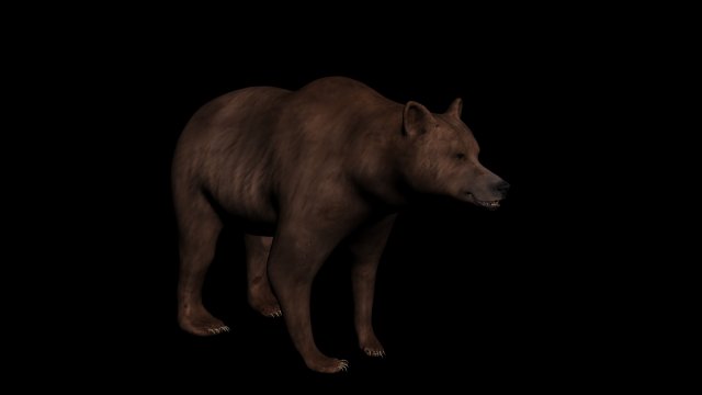bear 3D 模型 .c4d .max .obj .3ds .fbx .stl .blend