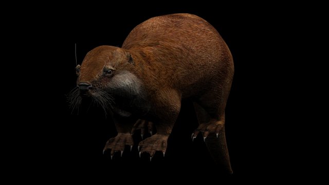 otter 3D मॉडल .c4d .max .obj .3ds .fbx .stl .blend 