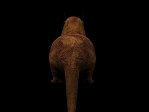 otter 3D मॉडल