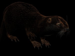otter 3D मॉडल