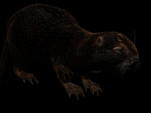 lontra Modelo 3D