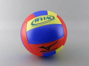 volley ball 3D Model