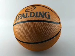 koszyk&oacute;wka Model 3D