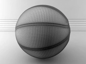 koszyk&oacute;wka Model 3D