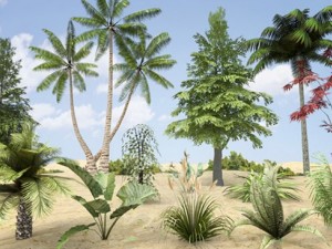plants grass and trees pack Model 3D
