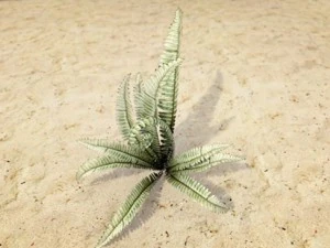 plants grass and trees pack 3D Model