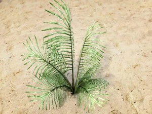 plants grass and trees pack 3D Model