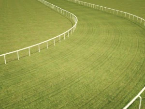 kit de construcci&oacute;n de hip&oacute;dromo Modelo 3D