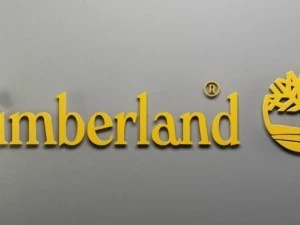 timberland 3d logo 3D Model