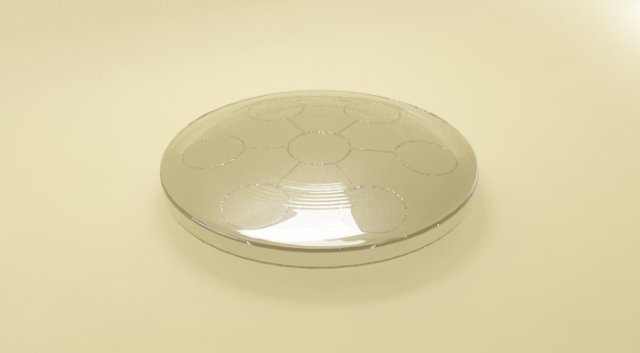 biodisc amezcua 3D Model .c4d .max .obj .3ds .fbx .stl .blend 