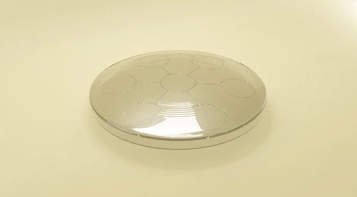 biodisc amezcua 3D Model .c4d .max .obj .3ds .fbx .stl .blend 