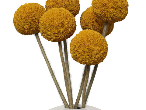 Jonathan Adler gilded Misia and Salvadore vases Modelo 3D