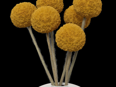Jonathan Adler gilded Misia and Salvadore vases Modelo 3D