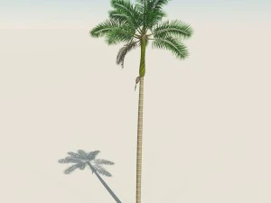 木製の海賊監視塔 3Dモデル