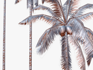 coconut palm tree collection - low poly 3Dモデル