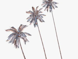 coconut palm tree collection - low poly 3D Model