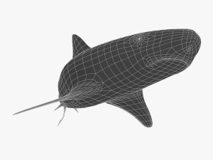 tiger shark Model 3D