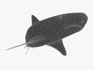 tiger shark 3D Model
