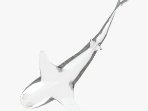 tiger shark Model 3D