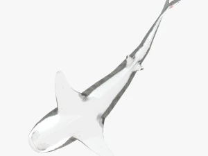 tiger shark 3D Model