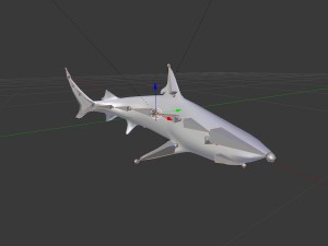 blacktip reef shark 3D Модель