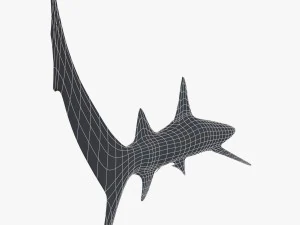 whitetip reef shark 3D Model