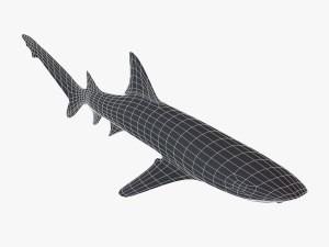 sharks collection 3D Model